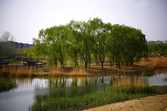 房山區(qū)慢行系統(tǒng)