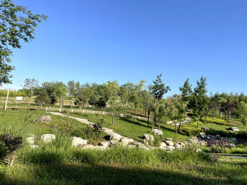 城市生態(tài)公園
