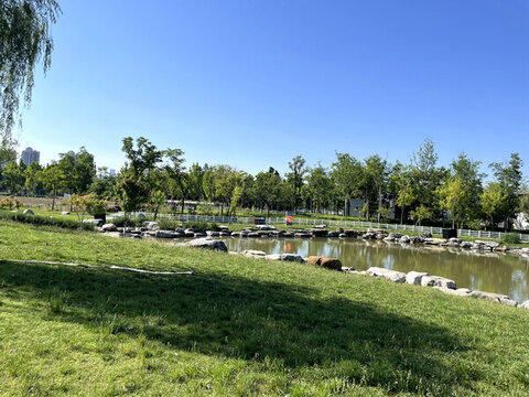 城市公園