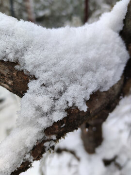 積雪