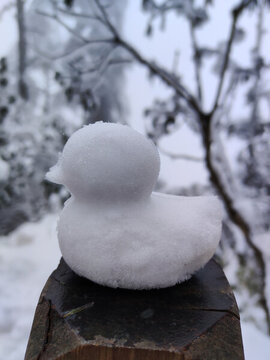 雪小鴨
