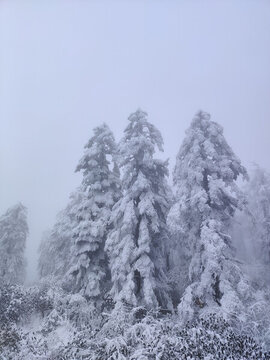 瓦屋山雪景