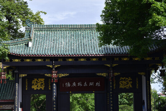 桂湖森林廣場