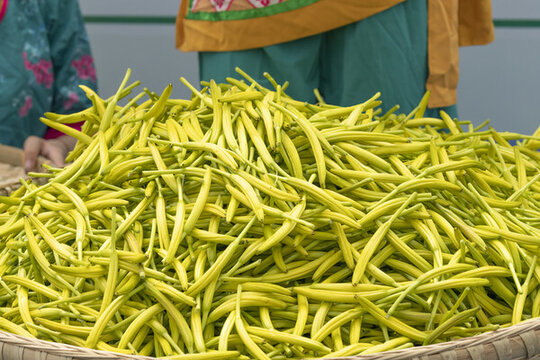 金針黃花菜