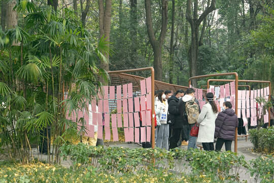 成都人民公園一角的相親角