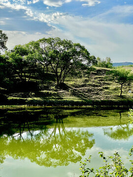 草原風(fēng)景自然風(fēng)景