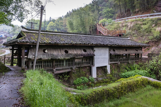 張地龍龜橋