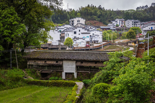 張地龍龜橋