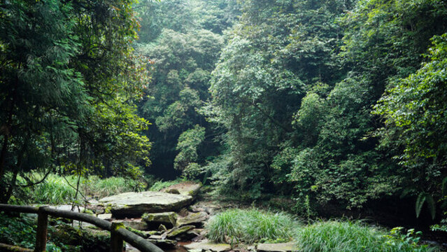 雅安碧峰峽基地