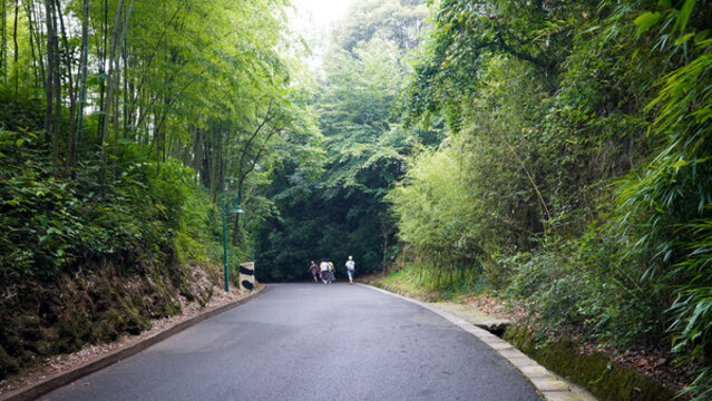 雅安碧峰峽基地