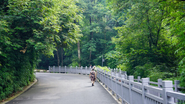 雅安碧峰峽基地
