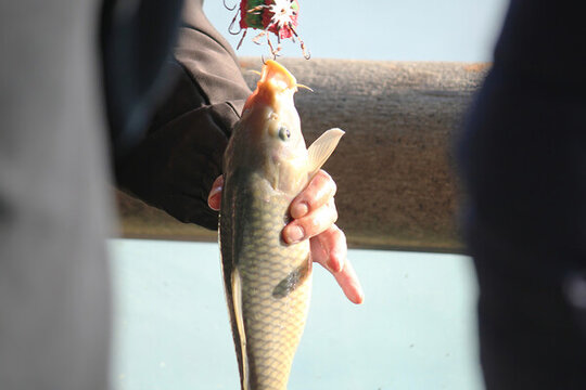 戶外戶外釣魚