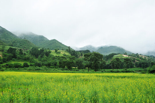 國家一號風景大道夏景