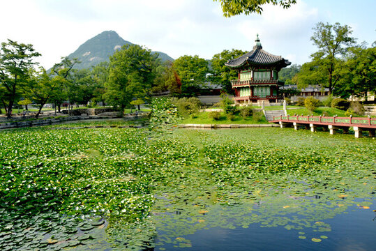 公園風(fēng)景