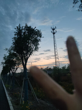 夕陽(yáng)
