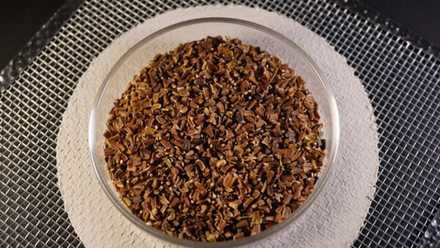 光桿茼蒿蒿子稈種子蔬菜種子