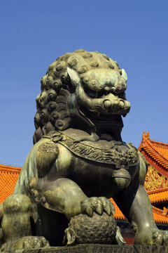 石獅子特寫