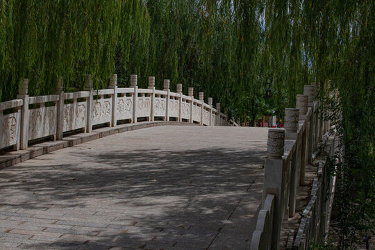 橋