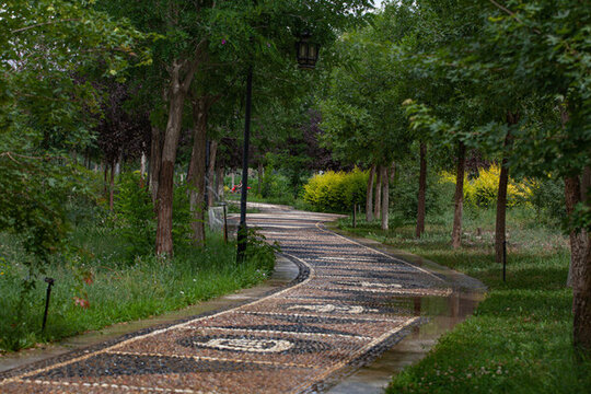 公園小路