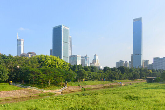 深圳中心公園及城市風光