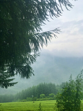 濃霧籠罩的大山