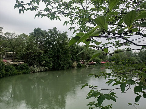 風(fēng)景園林