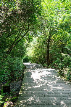 山間小路