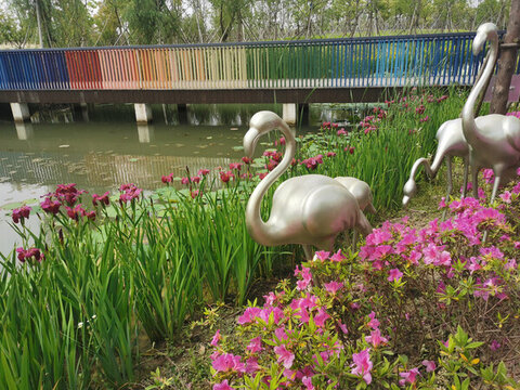 城市郊野公園
