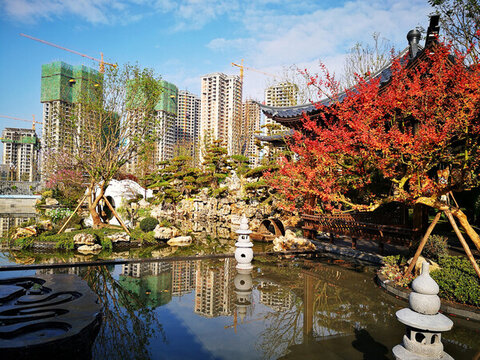 小區(qū)水景