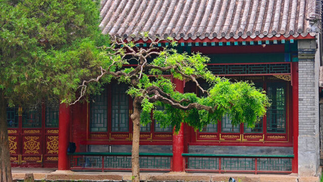 皇家園林