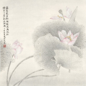荷花裝飾畫