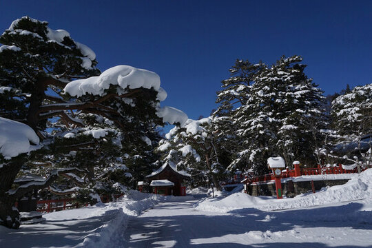 雪中的廟宇
