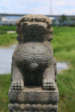 永定河石獅子