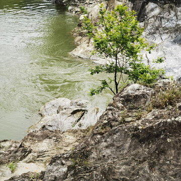 河邊