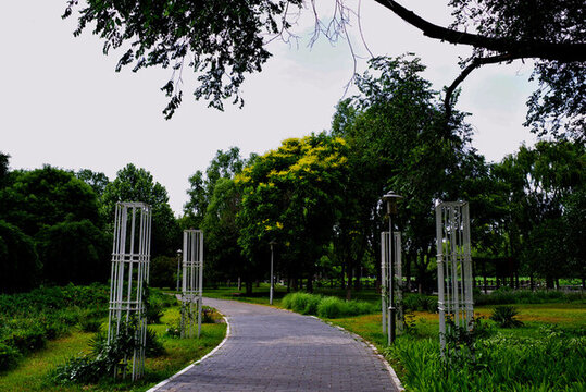 望湖公園