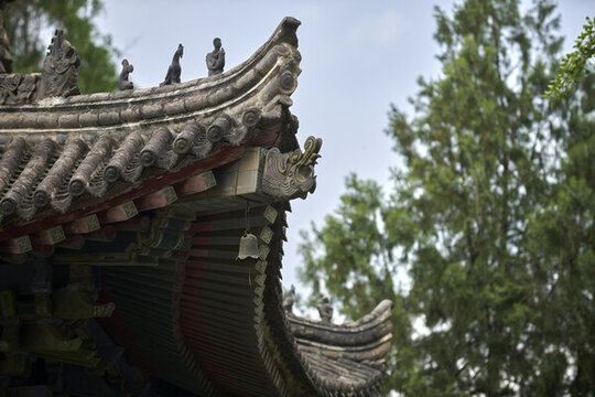 脊獸