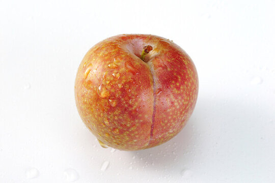 三華李
