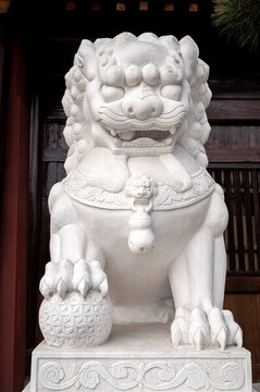 腳踩繡球的漢白玉石獅