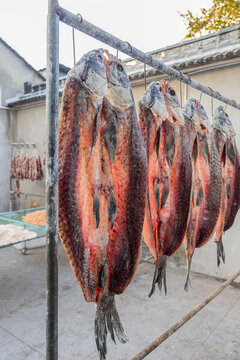 風(fēng)干青魚(yú)