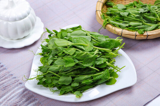 新鮮的豌豆尖