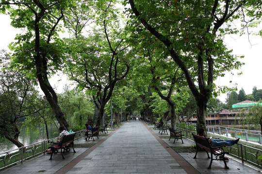 公園一角