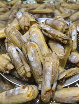 水產(chǎn)蟶子