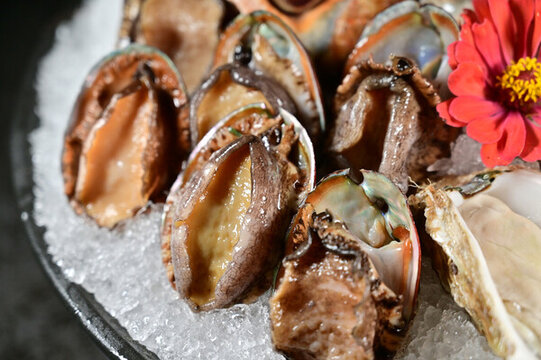 鮑魚