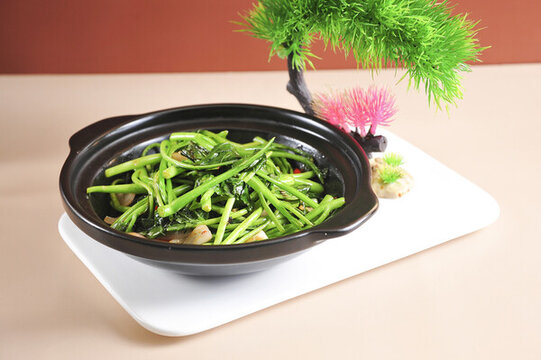 砂鍋芥蘭苗