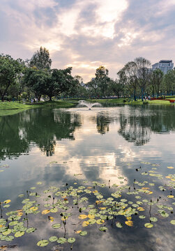 摩訶池公園