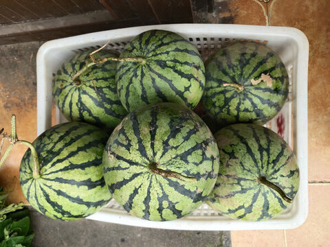 牛奶西瓜