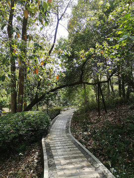公園步道
