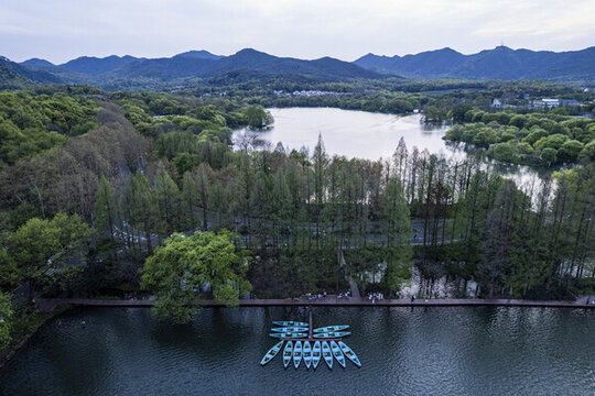 杭州西湖楊公堤