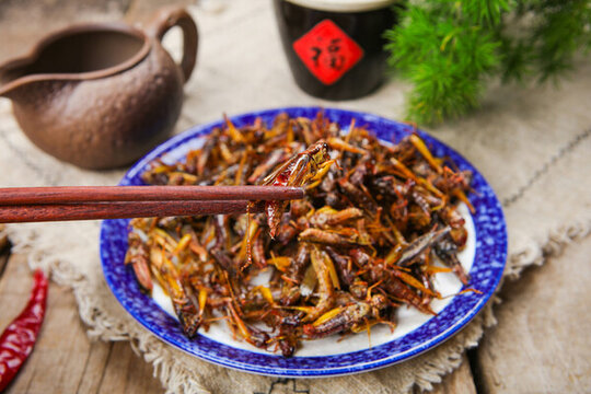 酥脆的油炸螞蚱