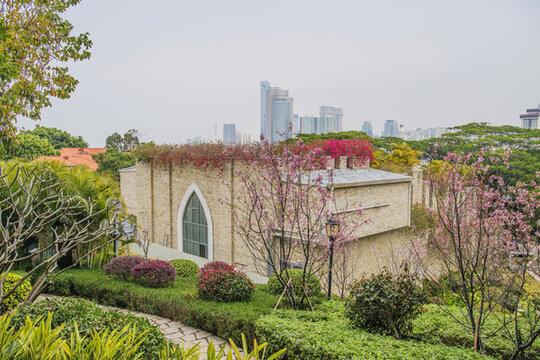 鼓浪嶼房頂長著植物花草建筑